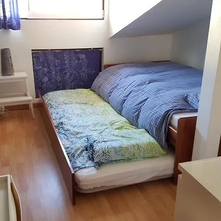 Apartamento Em Sao Bento Apartamento *